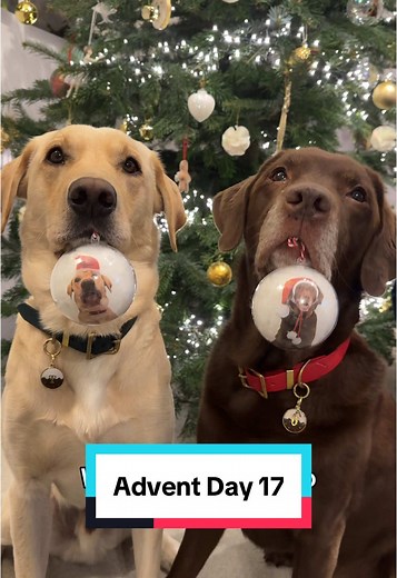 Advent Calendar Day 17: Santa's Fun Mishap