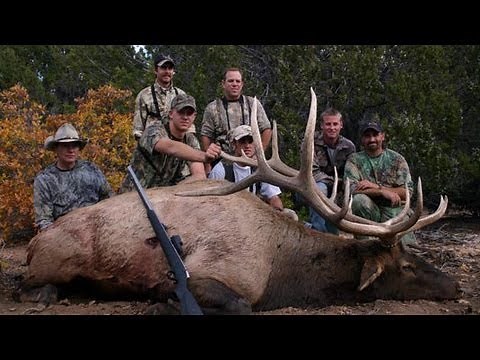 Muzzleloader Elk Hunt Pahvant Utah - MossBack