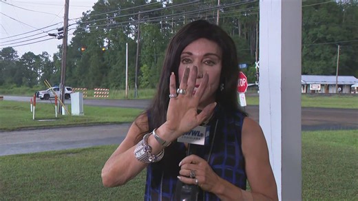 163K views · 1.2K reactions | An environmental scientist warns black soot from the Smitty’s explosion may be hazardous. Residents should stay indoors or wear masks to avoid inhaling particles. | WWLTV | Facebook