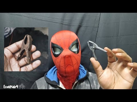 INSANE Rust to Shine Transformation ⚡ Electrolysis Restoration | EcoSpidey