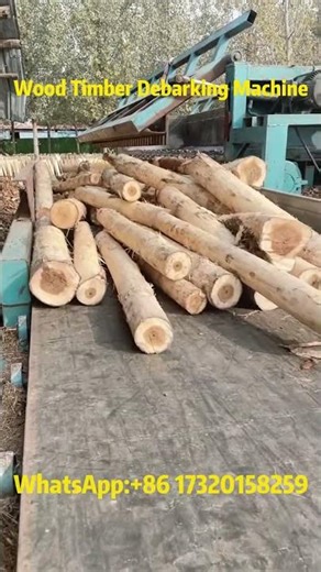 High-Efficiency Wood Debarking Machine | Powerful Log Peeling Performance 🌲💪#woodprocessing