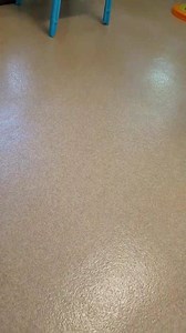 Humane Society of Forsyth County, GA on Reels