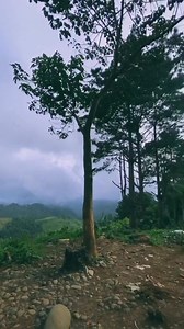 Kung noon marami silang time para sa isat isa ngayon konti nalang dahil sa trabaho pero pag nagkasama naman sinisiguro at sunusulit ang bawat segundo,minuto ,oras at araw para mabawi ang mga panahong walang bonding Elias J. Tv. And Abegail Cariquitan stay humble and strong 🥰🥰🥰 | Gregorio Jr Pogoy Tampus