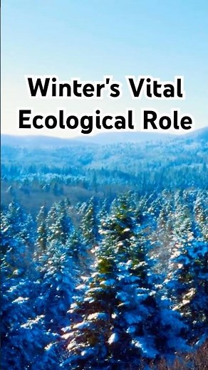 Winter's Vital Ecological Role #truvenor #winter #ecology #thenorth #short #shorts #shortsviral