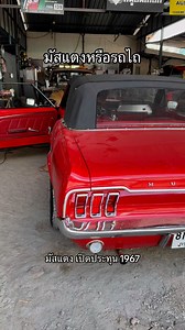 เสียงรถมัสแตงเครื่อง 289 เดิมๆ.#mustang1967 #fordmustang #mustangconvertible #classiccar #americanmuscle #musclecar #vintagecar #carrestoration #carclassic #mustanglover #carenthusiast #fordlover #classicconvertible #mustanglife #mustangnation #1967mustang #classicmustang #mustangthailand #รถคลาสสิค #มัสแตงเปิดประทุน | JK
