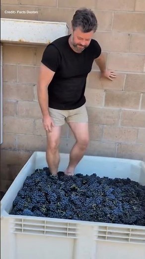 Luxury wine ka real process 😳 #wine #shorts