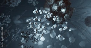 Diltiazem rotating molecular structure, 3d model of molecule, cardizem, looped video