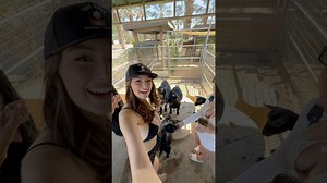 Feeding goats at the petting zoo adventure