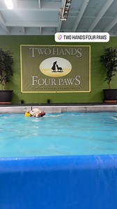 Sibling swim! Happy Thursday everyone!!!錄 | Two Hands Four Paws | Facebook