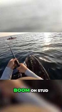 The EASIEST Way to Catch These BIG Snapper!!