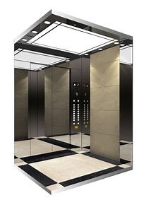 [Hot Item] Edunburgh Mirror Etched Passenger Elevator High Speed, Luxury Type, Office, High-End Project