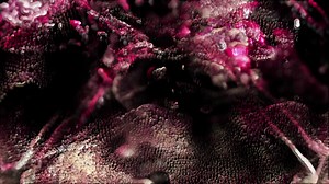 Download Microscopic Virus Particles for free