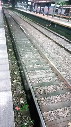 Encontre 1000$ #1000