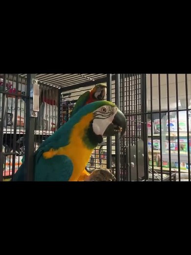 mrsvickie80 on TikTok