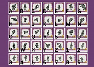 America Sign Language Green Leopard Alphabets & Numbers Fonts Digital Download Set - Etsy