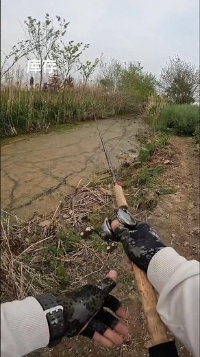 Wild River Snakehead Strike 🎣🔥 | Pure Power & Fishing Thrill 🌊🐍