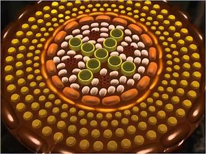 Anatomy of Roots Class 11