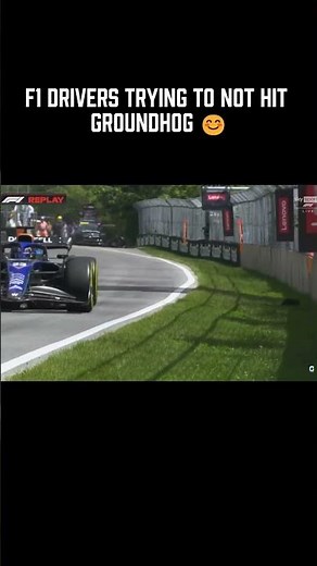 👉 F1 Drivers vs MotoGP Riders: The Animal Reflex Test! 🦫🏍️ #shorts