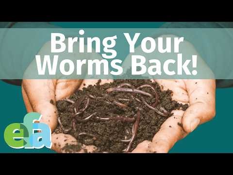 The Secret to Bringing Worms Back to Soil