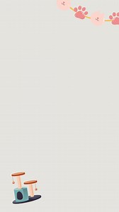 25 reactions | BLACK FRIDAY SALE! Your kitty's new obsession awaits!  Enter code DOUBLE at checkout and receive 2x the toys for free. Limited time only - don't miss out! | KitNipBox | Facebook