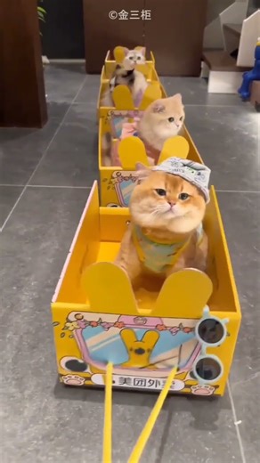 Mission Meow: The Super-Gadget Express”❤️😍