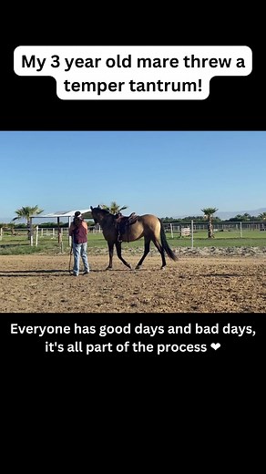 268K views · 3.2K reactions | Young horses are my favorite, even when...