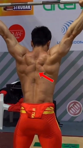 Squat University on Instagram: "Don’t forget about your lower traps!! It’s a key muscle for shoulder health! . Shout out @muscleandmotion for the amazing anatomy graphics & @mirabai_chanu for working hard to fix this injury, @luxiaojunsport for the opening video too!"