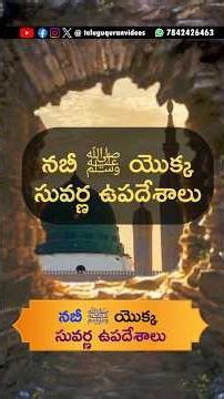 తెలుగు ఖుర్ఆన్ : ప్రవక్త (స) యొక్క సువర్ణ ఉపదేశాలు #Quran #telugu #prophet