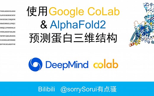 使用Google CoLab & AlphaFold2 预测蛋白三维结构
