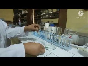 |Salt Analysis of Pb(NO3)2, Brown Ring Test| Class-12 board practical