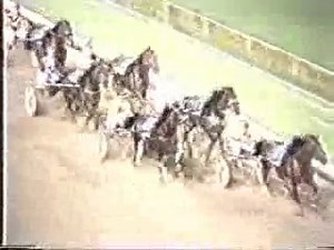 ✨MONDAY MIRACLE MOMENTS: 1983✨ ‘Poppy’ was adored by harness racing fans Australia-wide and to this day is still regarded by many as the greatest pacer this country has produced. Popular Alm, won the 1983 Miracle Mile as the shortest-priced favourite on record at the time at 9/2 on. The winning margin was one-and-a-half metres and Popular Alm was timed to pace the mile in 1:57.7. In winning the Miracle Mile, Popular Alm beat his archrival Gammalite in one of the most exciting contests on record.