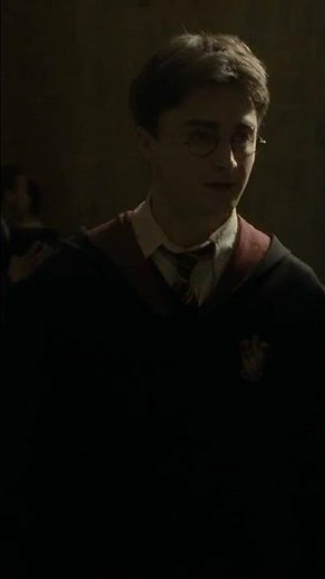 Harry and Hermione discuss Draco #HarryPotter #HalfBloodPrince #DeletedScene