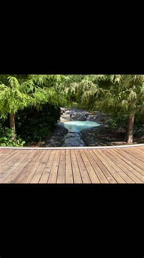 Franklin park conservatory & botanical gardens 華 #botanicalgardens #plants #blownglass #conservatory | Starr Scarberry | Facebook