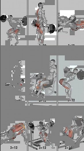 INSANE Leg Workout with 9 Moves to Sculpt Your Lower Body Now #exercise #workout #leg #lowerbody