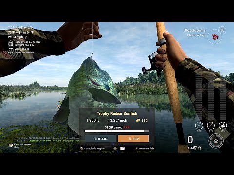 Trophy Redear Sunfish Guide - Everglades - Fishing Planet