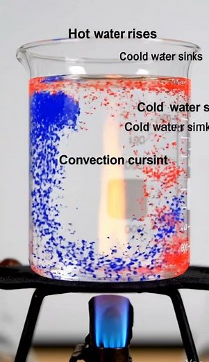 This Is How Heat Moves in Water 😱 | Convection Current Experiment