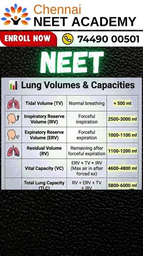 NEET Biology:Lung Volumes & Capacities Tricks + PYQs | Human Respiratory System #studytips #neetprep
