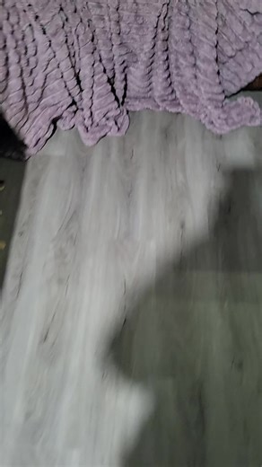 #FYP #main7 #GenX #dogsoftiktok #ratterriersoftiktok