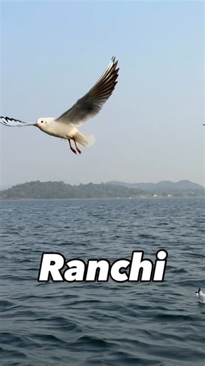 RANCHI MERI JAAN Ranchi’s Jharkhand Influencer Blogger on Instagram: "📍 Ranchi se sirf ~40 km ka safar… aur phir milta hai aisa breathtaking nazara 😍🌿 📸 Aaj ki reel shoot hui hai Canon R50 V se — budget me ekdum solid camera 💥 👇 Caption points (emoji ke saath): • 🎥 24.2 MP APS-C CMOS Sensor – crystal clear details & sharp visuals • 🔍 Advanced Dual Pixel CMOS AF II (4K) – focus ekdum smooth & fast • 🤳 Vlogging ke liye perfect – content creators ka best friend • 🎨 Canon Log 3 & HDR Profi