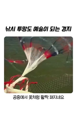 달인의 경지에 오른 소름 돋는 투망 던지기 기술 #낚시 #투망 #달인 #취미 #힐링