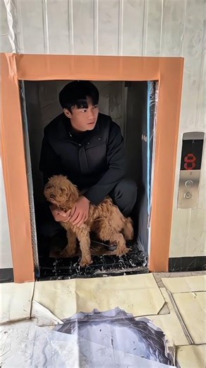 “He Wanted to Take a Lift…But Lift Was Tiny 😆”~mini wood toy-woodworking art skill/wood hand #shorts