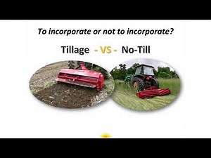 Termination of Cover Crops