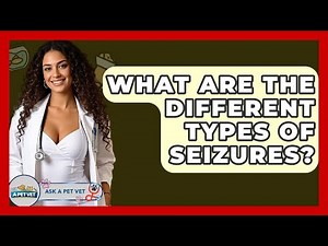 What Are The Different Types Of Seizures? - Ask A Pet Vet