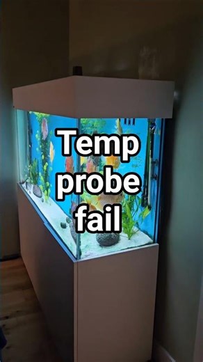 Temp fails, the most common discus issue.