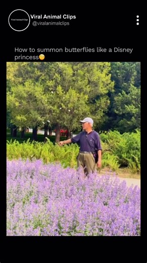 Viral Animal Clips | In parts of rural China, locals discovered that if you tie white paper to a stick and wave it gently… butterflies will follow🤯 The... | Instagram