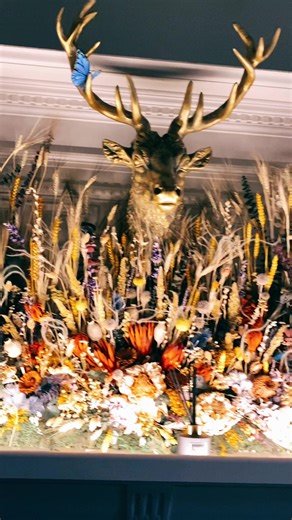 wellness_by_sandra on TikTok