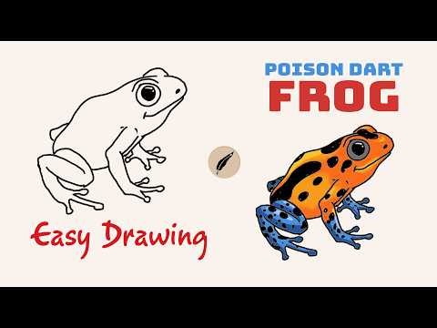 How to Draw a POISON DART FROG! 🐸🌈 Bright & Easy Step by Step for Kids! #lidoartworks