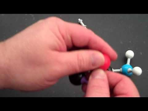 Structure of Amino Acids - Biology in Minutes