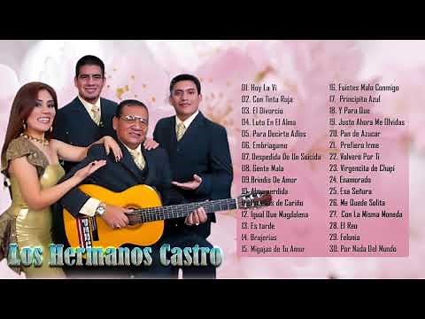 LOS HERMANOS CASTRO SUS MEJORES CANCIONES - 30 GRANDES EXITOS DE LOS HERMANOS CASTRO