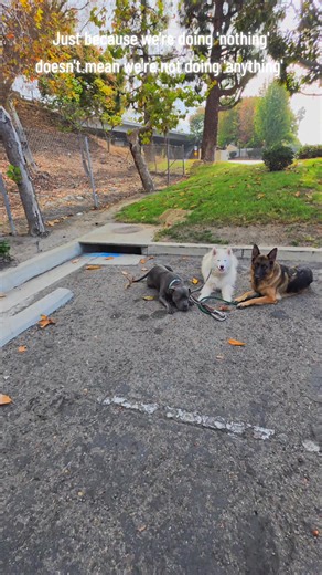 soon enough I'll be able to leave them in "place" back from my house 🏡😂 | Chris L Hawkes